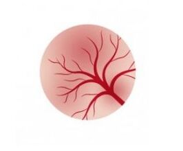 Inflammation of the mucous membrane of the bladder and treatment with Femixal capsules